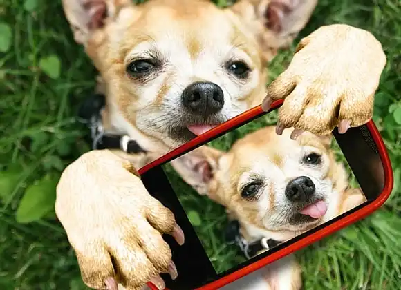 Günstig Instagram Likes kaufen bei der LikesAndMore Agentur aus Offenbach am Main.